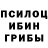 Псилоцибиновые грибы Psilocybine cubensis urdooinitrong