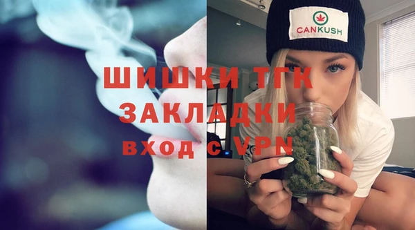 гидропоника Горняк
