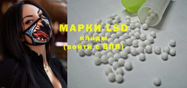 гидропоника Горняк