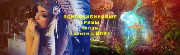 гидропоника Горняк