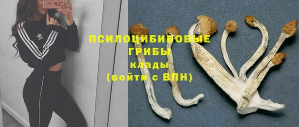 гидропоника Горняк