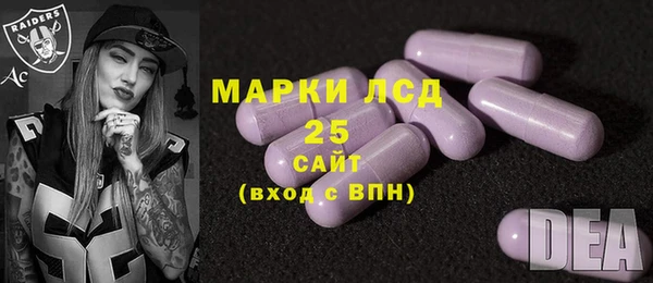 гидропоника Горняк