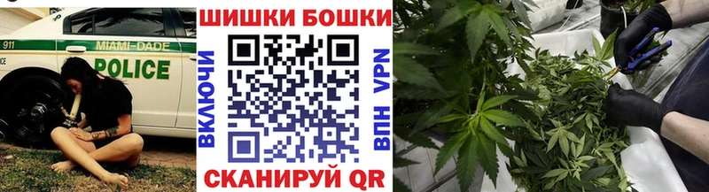 Бошки Шишки Bruce Banner Карабаново